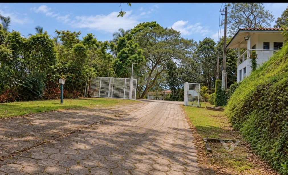 Terreno com Vista para o Mar na Cocanha, em Caraguatatuba